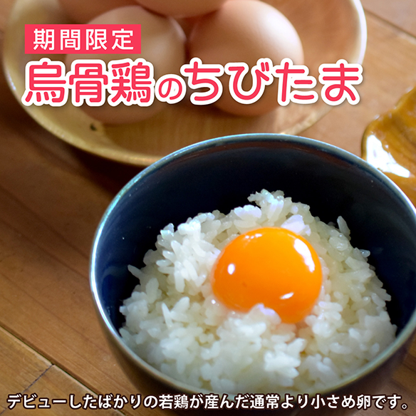 期間限定:烏骨鶏のちびたま。デビューしたばかりの若鶏が産んだ通常より小さめ卵です。