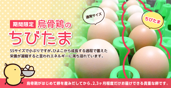 期間限定:烏骨鶏のちびたま。SSサイズで小ぶりですが、ひよこから成長する過程で蓄えた栄養が凝縮すると言われエネルギーに満ち溢れています。烏骨鶏がはじめて卵を産みだしてから、2,3ヶ月程度だけお届けできる貴重な卵です。
