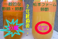 松本ファームの卵酢と一般的な酢卵・卵酢の2年間経過後の比較写真